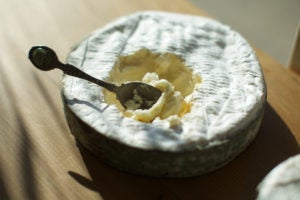 Harbison cheese from Jasper Hill Farms. Photos: Clay Williams