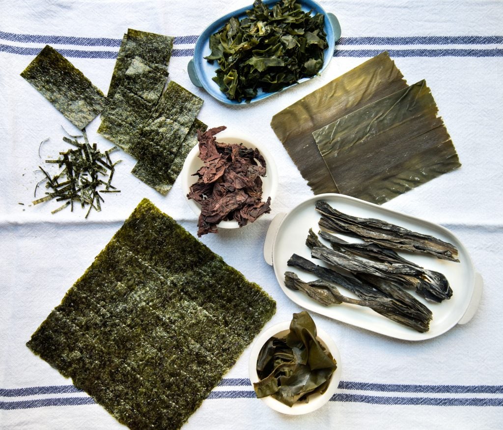 TASTE nori_wakame_dulse_kombu TASTE
