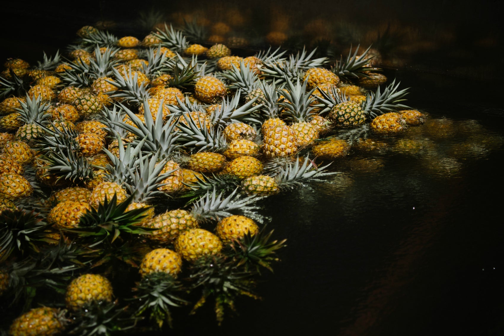 Pineapple_sorting