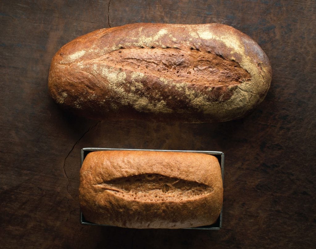 Sprouted Whole Wheat Bread TASTE