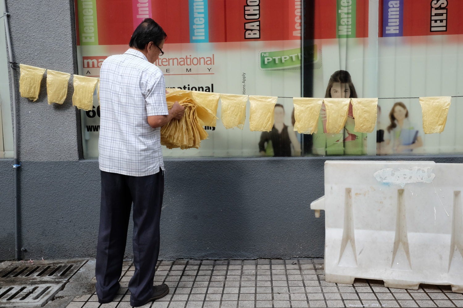 Tofu Skins Fried, Steamed, Stuffed, Seared TASTE