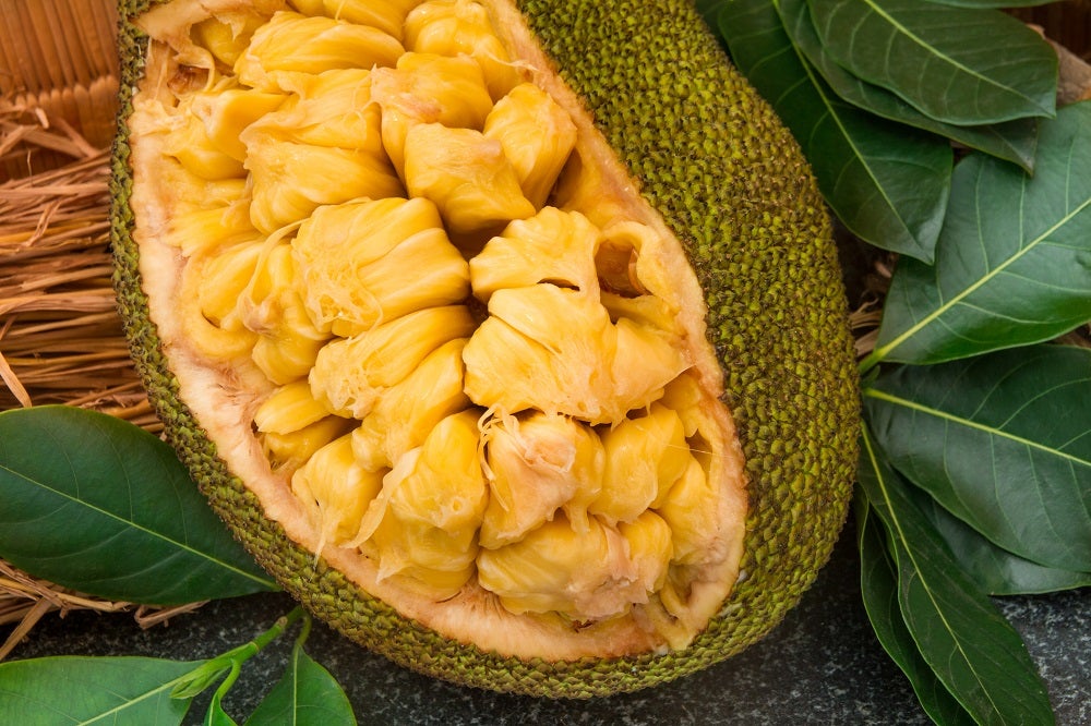 11.21_jackfruit