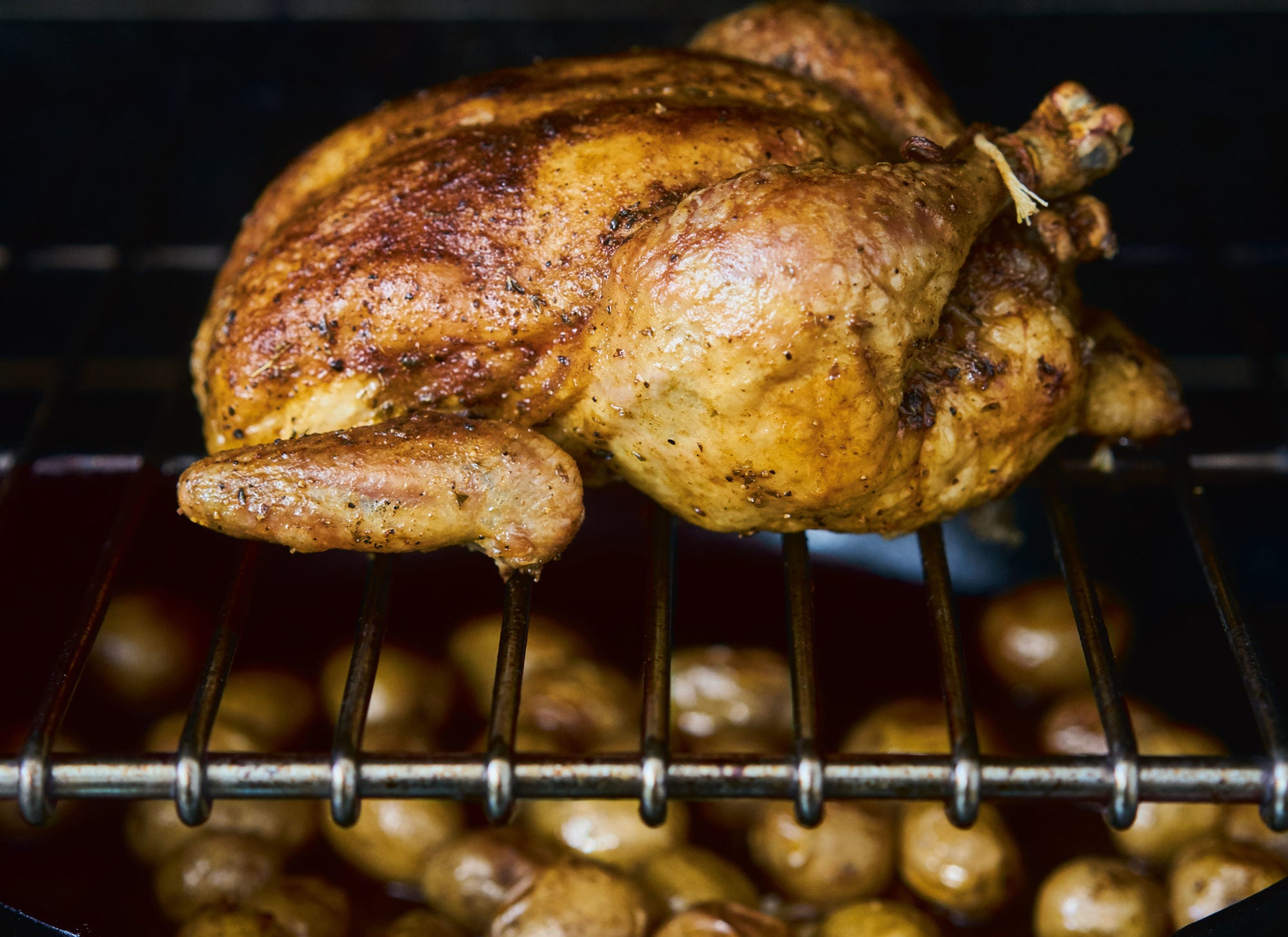 Chicken on an oven rack