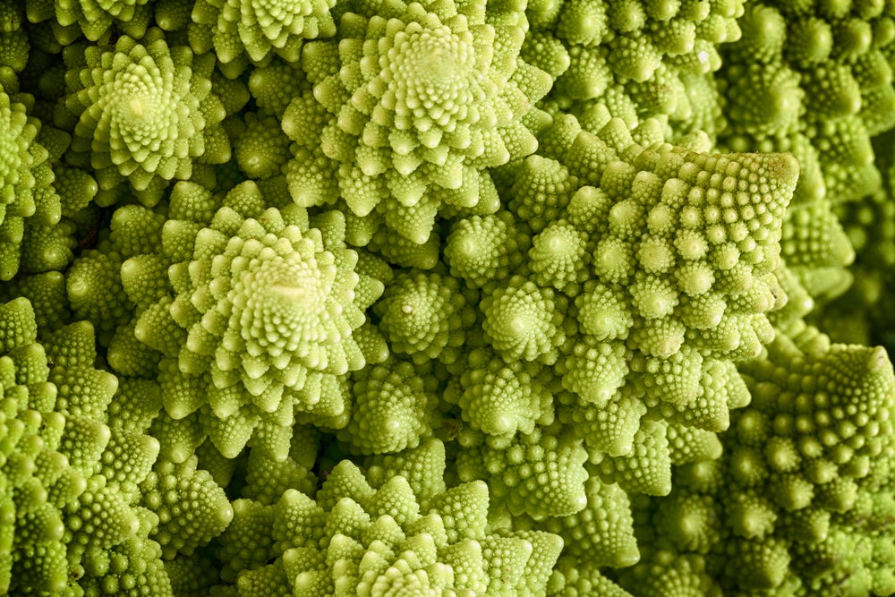 03.21_romanesco