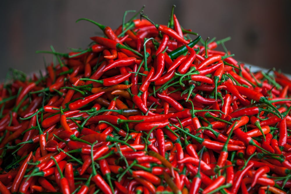 Scoville capsaicin outlet