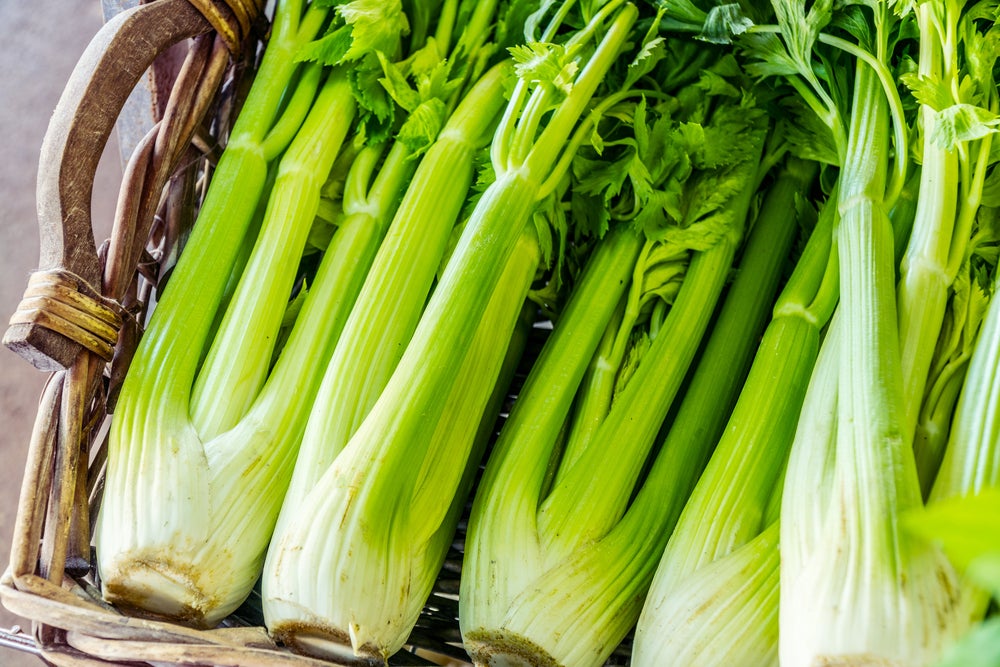 does-celery-really-have-negative-calories-taste