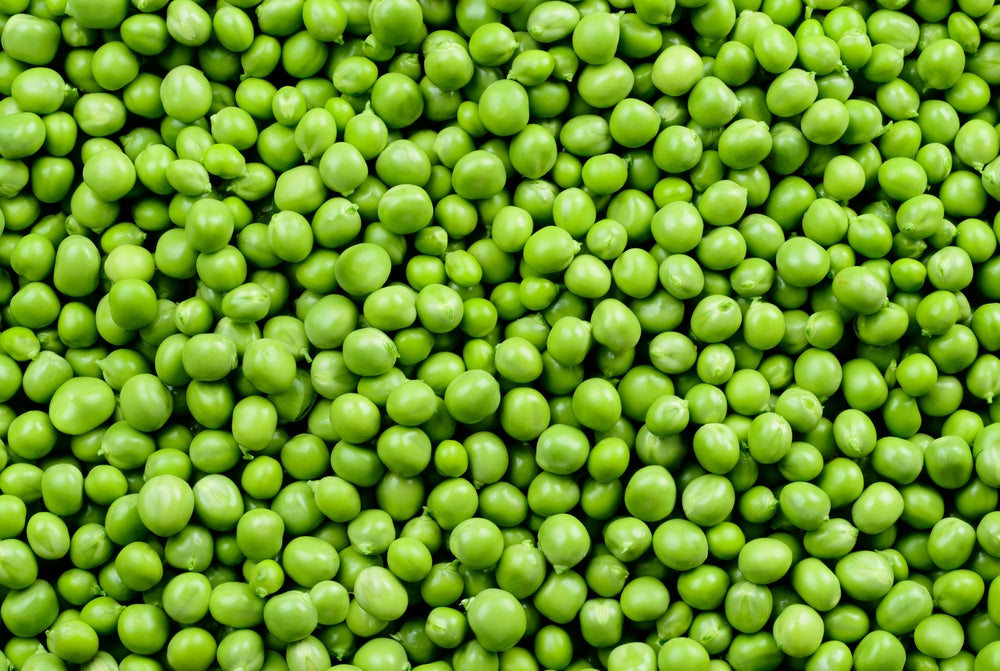 Why is Pea Protein the New Fake Meat? | TASTE