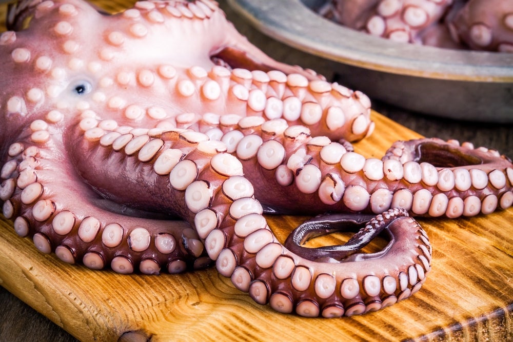 live octopus sashimi