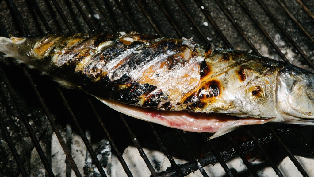 How to Gut a Fish in the Dark