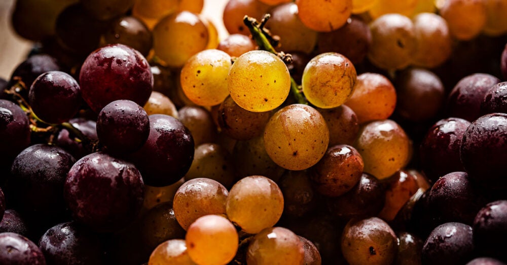 TASTE - Social-Seasonal-Grape-Recipe | TASTE