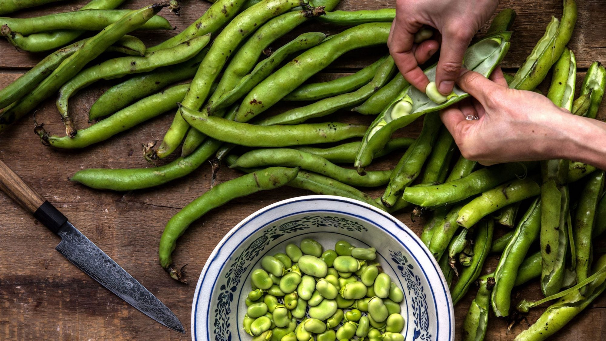 Article-Spring-Vegetable-Fava-Bean-Recipe