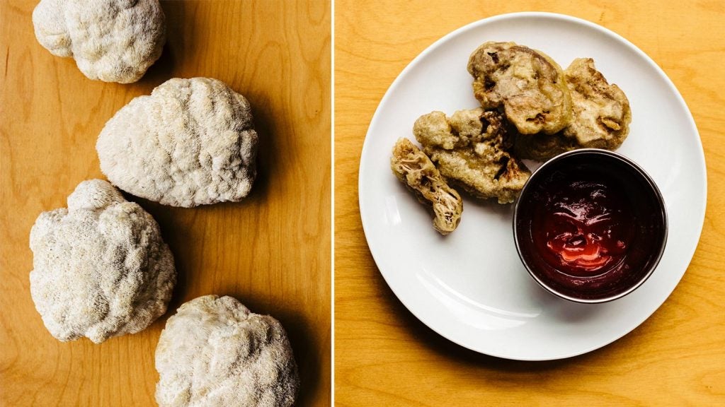 Fried Lions Mane Mushroom Recipe