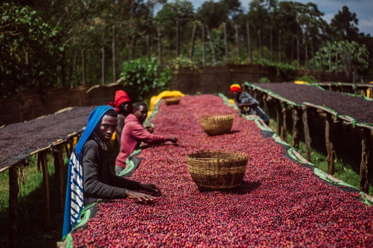 How to Actually Taste Coffee and About Those “Notes of