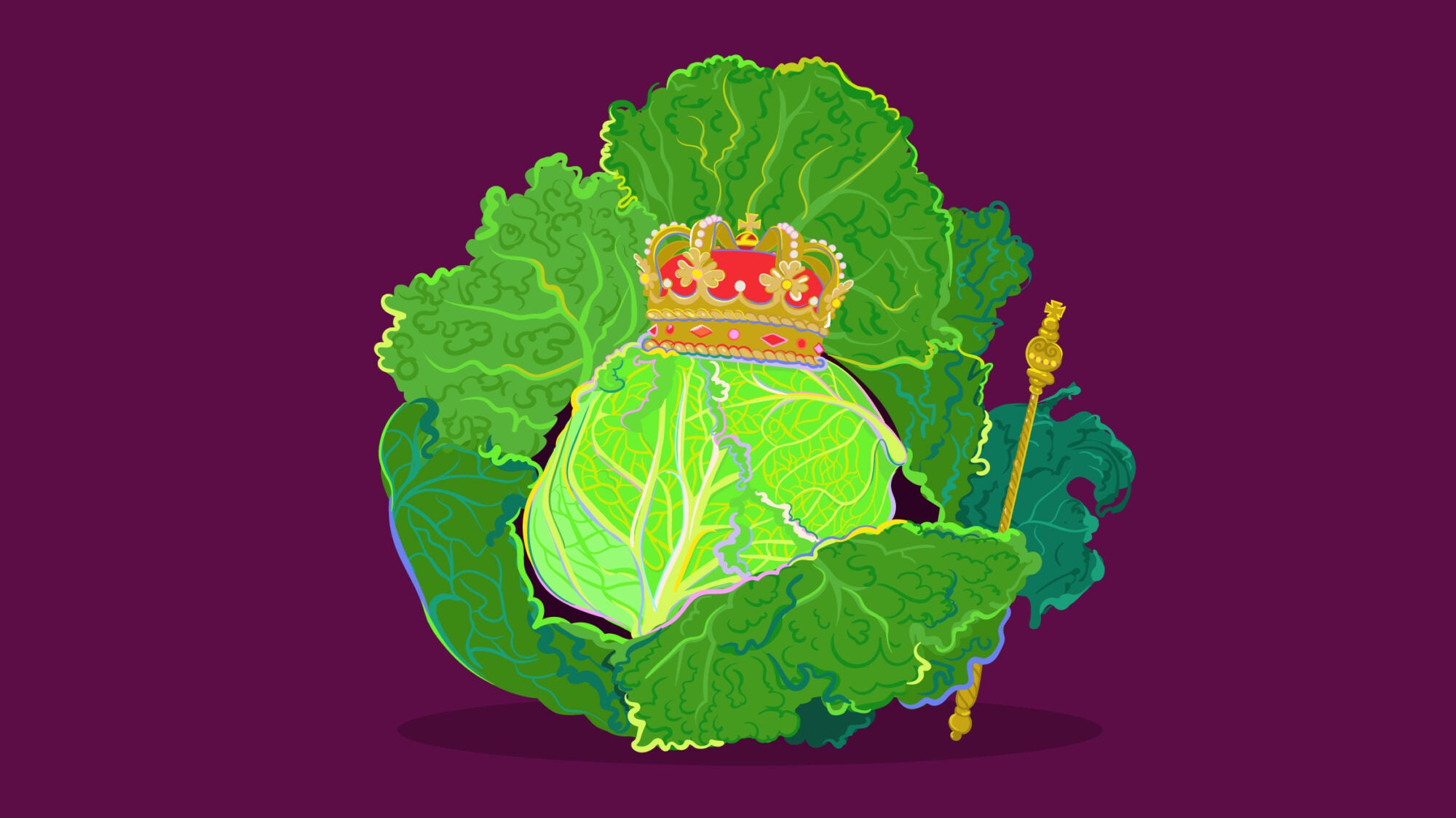 TASTE_KINGCABBAGE_MHEYER_2340x1314