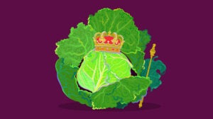Cabbage king condiment