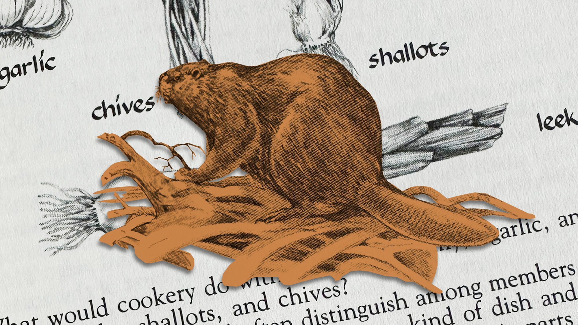 To Live and Fail by the L.L. Bean Game and Fish Cookbook TASTE