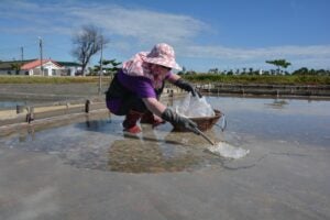 Budai Cultural Association